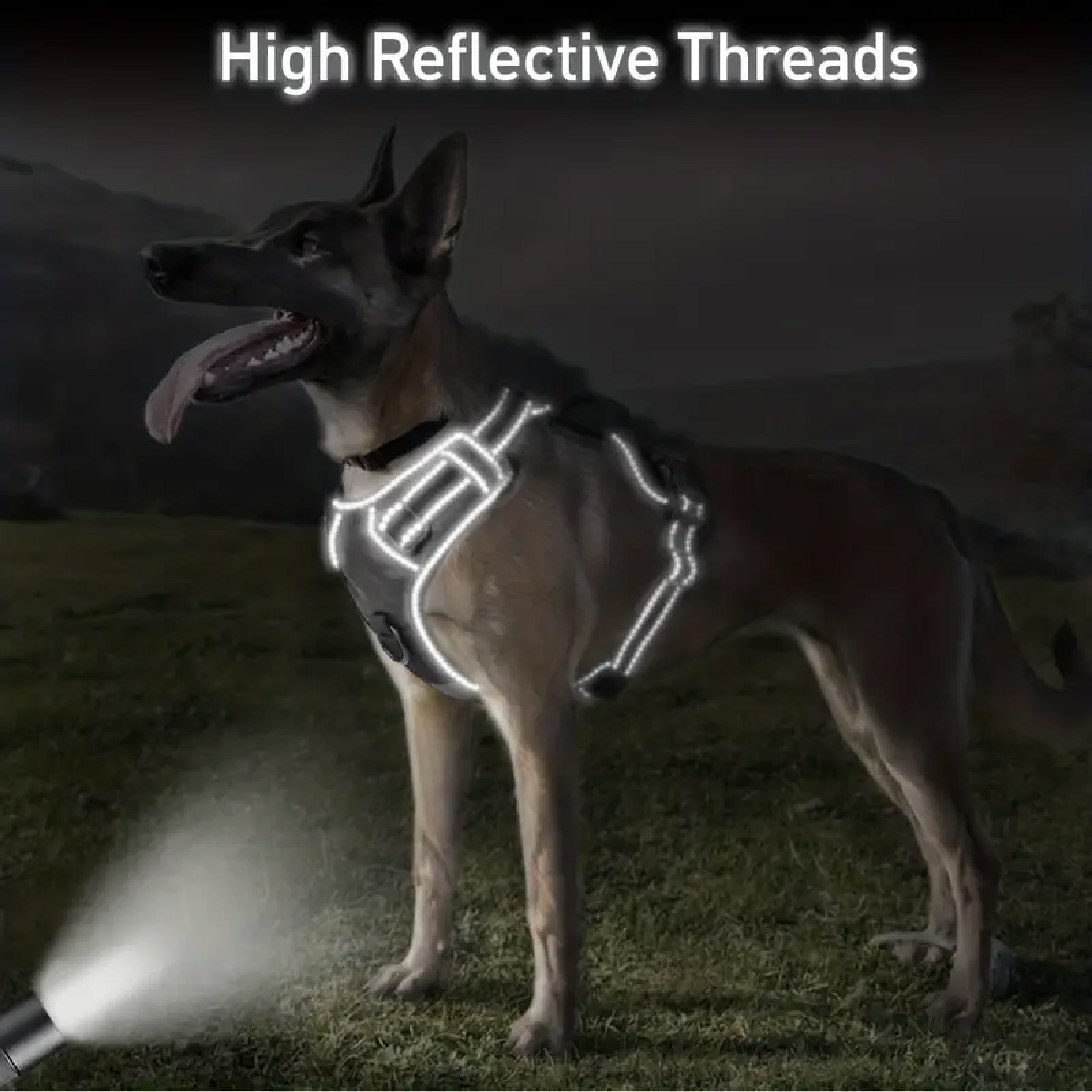 Miniatura 4 de Arnes Collar Perros Grandes Con Correa